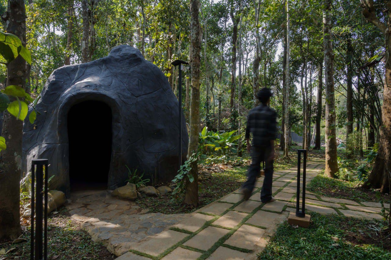 Quiet serene forest space for stillness